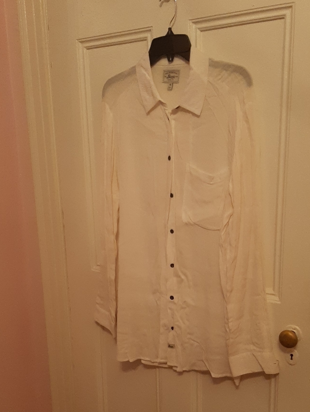 Sheer Button Down Shirt